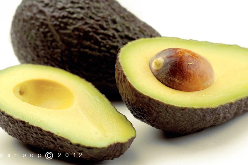 avocado-2