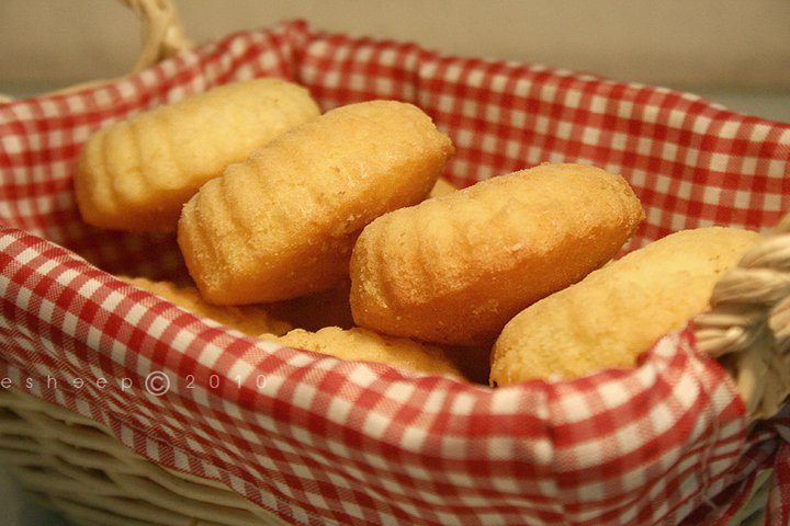 madeleines-11