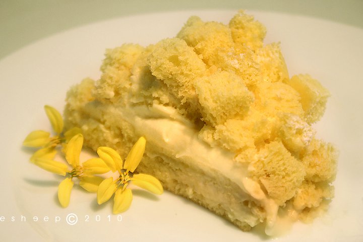 mimossa cake-9